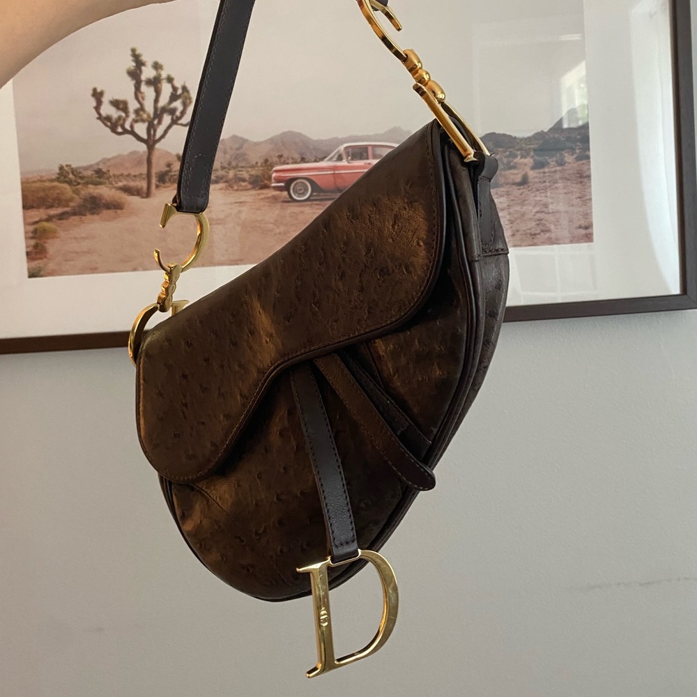 Dior Saddle bag